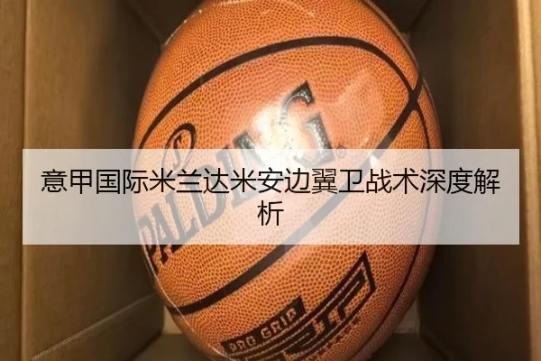 意甲国际米兰达米安边翼卫战术深度解析（yingdian）